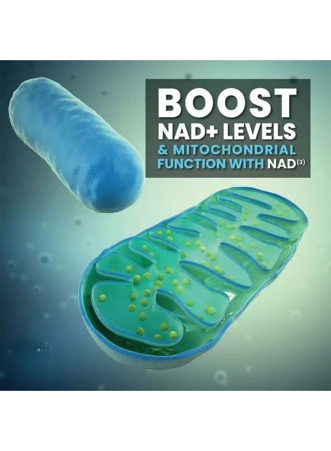 NAD HPN Supplements NAD Booster Value Size 2 Month Supply Clinically Proven Independently Tested Metabolic Repair 312 mg per Serving 120 Capsules - Image 2