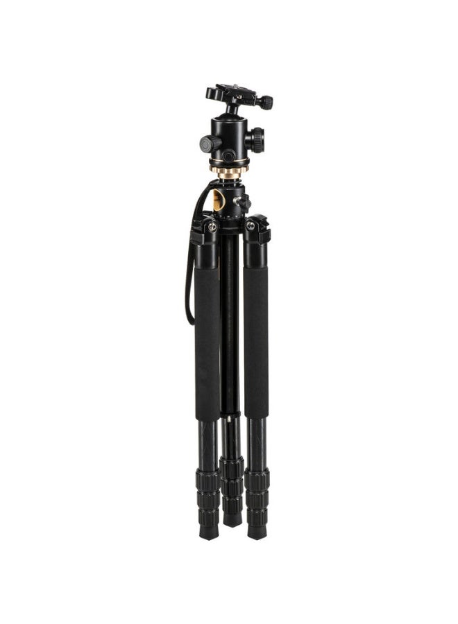 كيم-تي في Q156 Low Shooting Tripod - Image 5