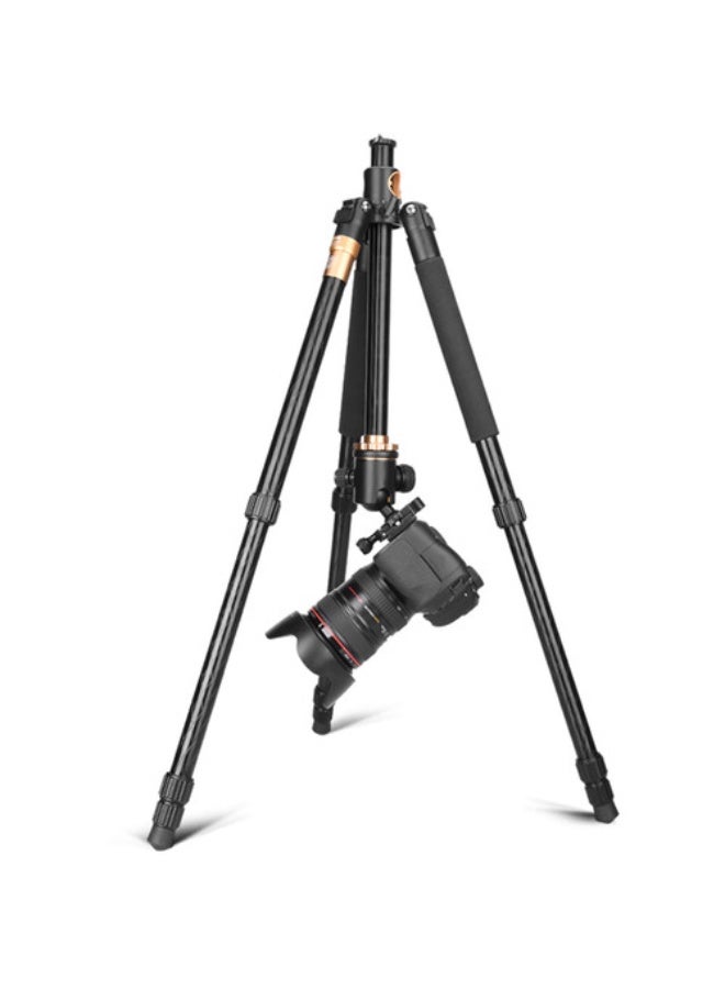 كيم-تي في Q156 Low Shooting Tripod - Image 2