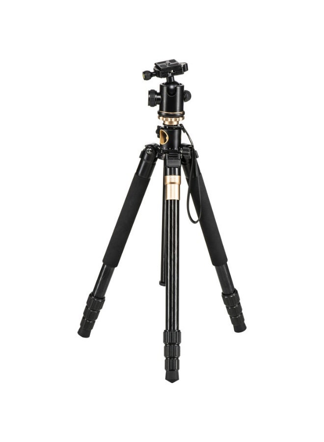كيم-تي في Q156 Low Shooting Tripod - Image 1