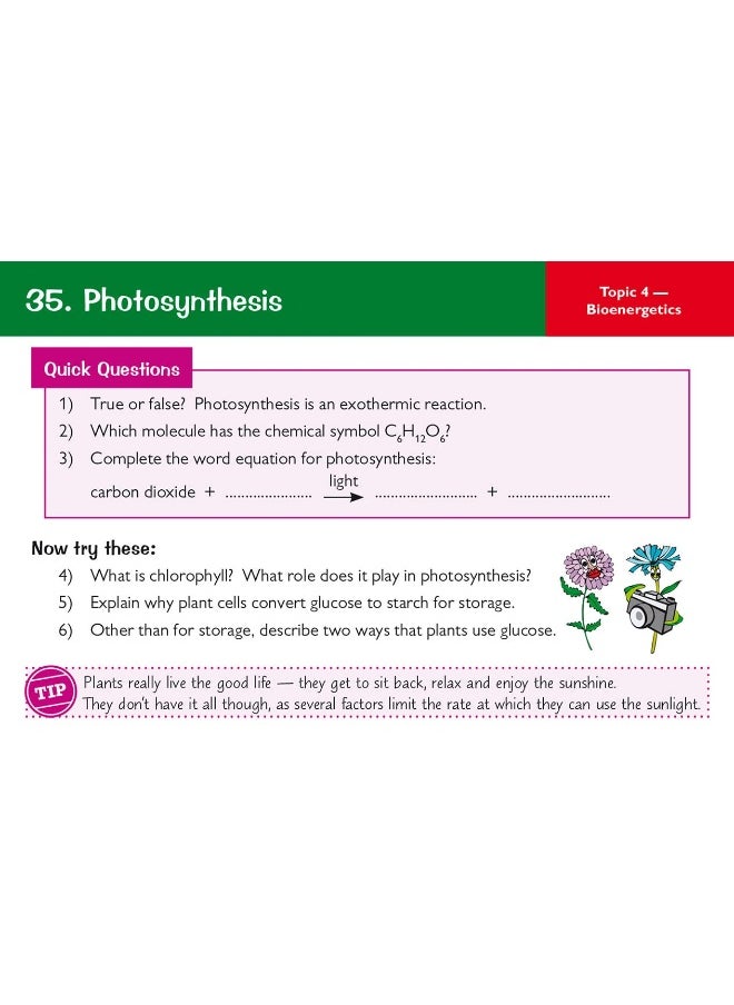 9-1 GCSE Biology AQA Revision Question Cards  - Image 3