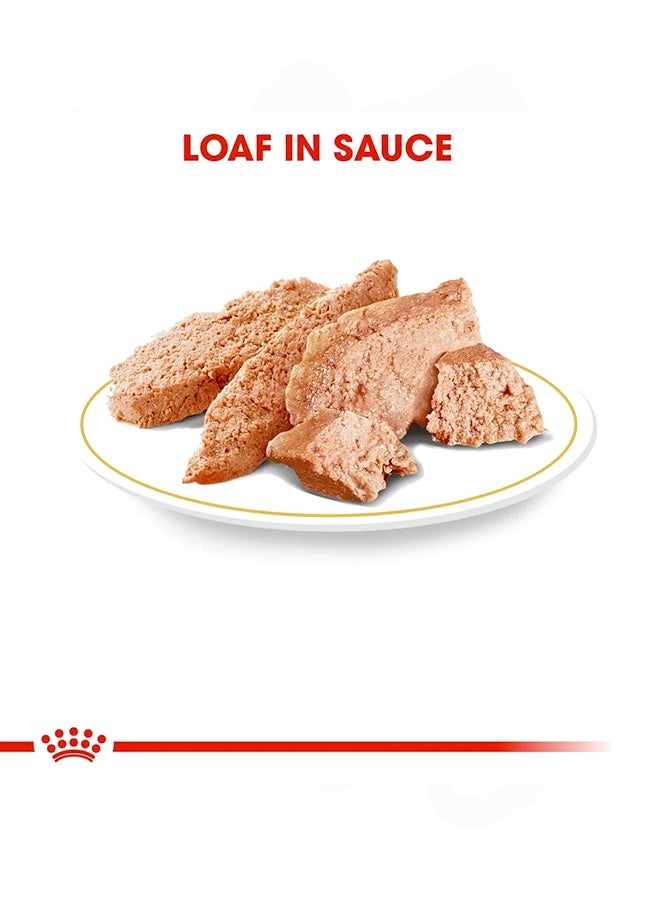 رويال كانين طعام كلاب الشيواوا - 85 غرام - Image 3