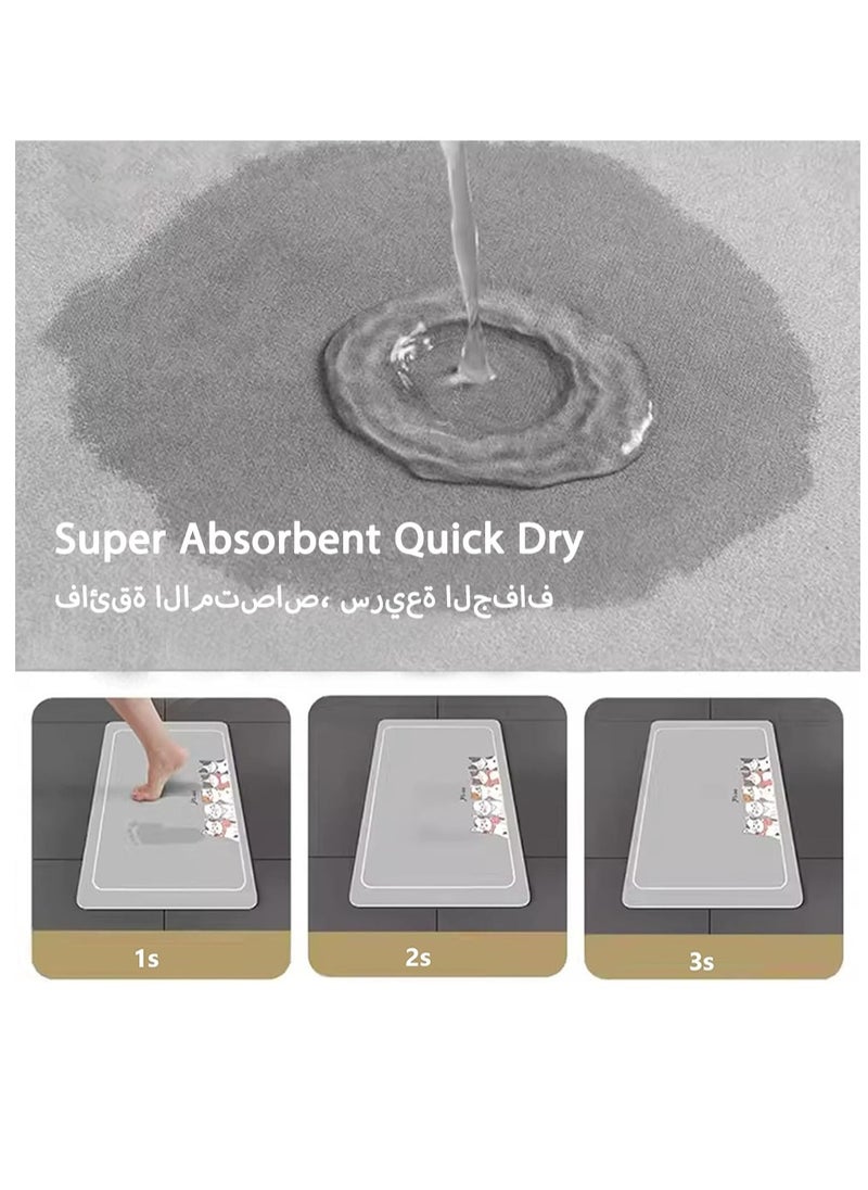 Bath Mat, Absorbent Carpet with Anti Slip Pad, Diatom Mud Cushion for Bath and Kitchen