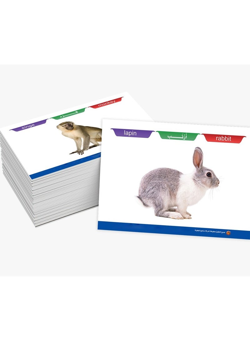 Birds and Animals Flashcard Series - Image 3