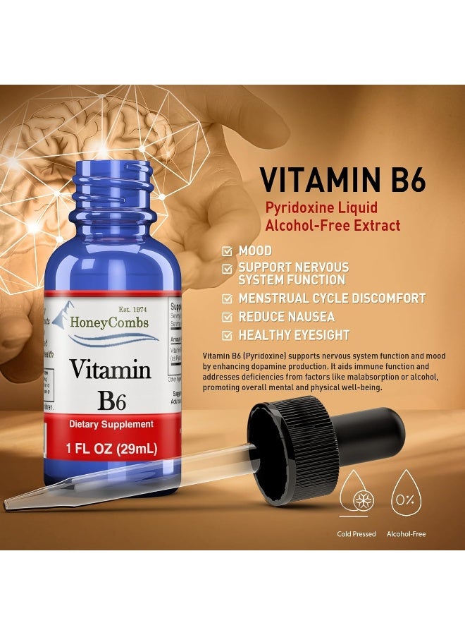 HoneyCombs Vitamin B6 (Pyridoxine) Drops – Liquid Vitamin B Drops for Natural Brain Function Support, Blood Vessels & Immune Support – Liquid Vitamin Mood Supplement – Alcohol-Free Health Supplement (1 Fl Oz) - Image 3