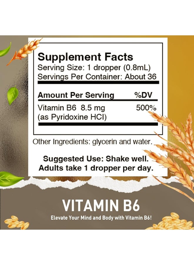 HoneyCombs Vitamin B6 (Pyridoxine) Drops – Liquid Vitamin B Drops for Natural Brain Function Support, Blood Vessels & Immune Support – Liquid Vitamin Mood Supplement – Alcohol-Free Health Supplement (1 Fl Oz) - Image 2