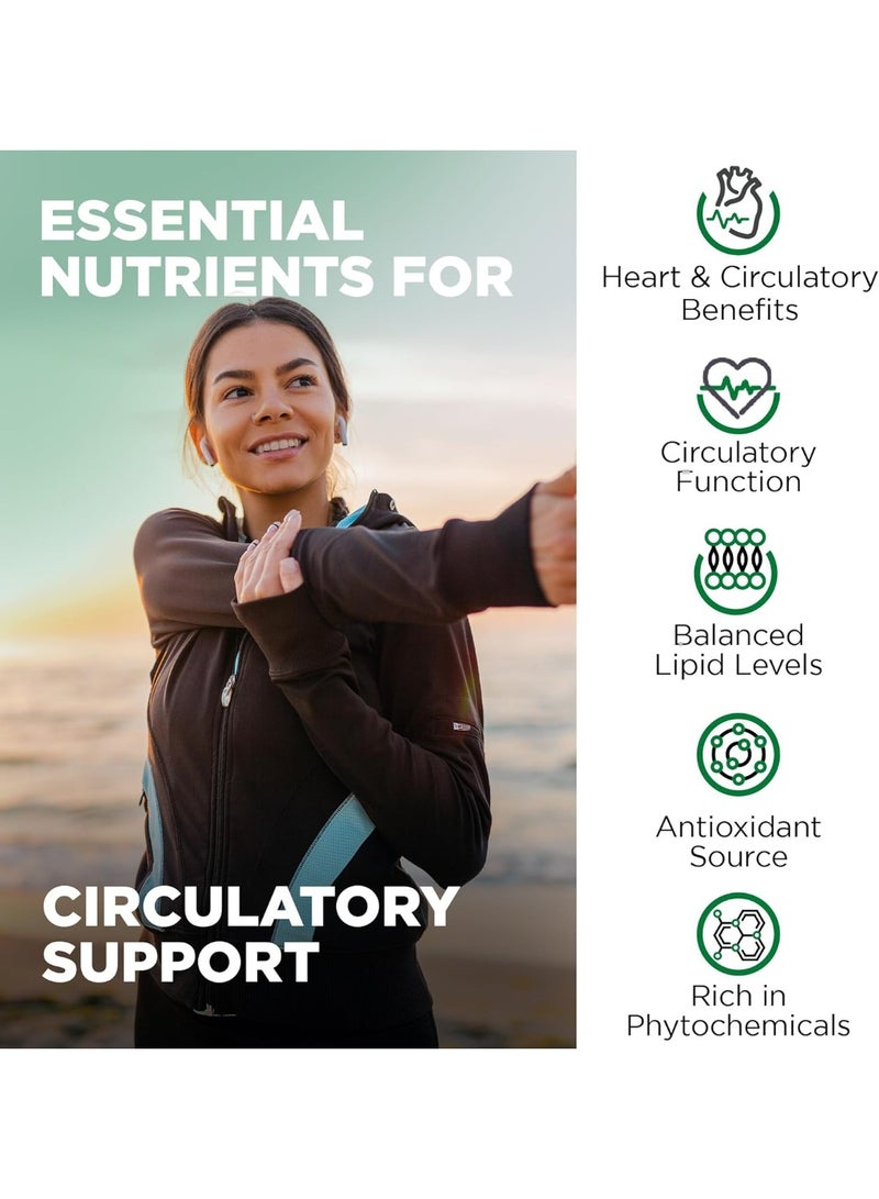 Nutrivein Premium Citrus Bergamot Supplement 1400mg 25:1 Bergamia Extract - 60 Day Supply (120 Capsules) - Image 4