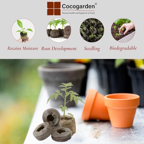 Cocogarden Coir Seed Germination Kit for Gardening with Netted Root Plug, Cocopeat Coin, Coco Pellets, Coin, Disc (Pack of 10) - Image 3