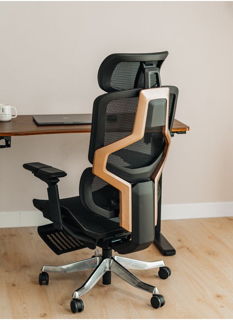 Executive Computer Office Chair - Advanced Ergonomics, High-Back, Breathable Mesh - Adjustable Lumbar Support, Footrest, Headrest, Seat Depth, Foldable Armrests - Aluminum Swivel Base (Black)