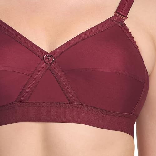TRYLO KPL-BRA-36-MARUN-D-CUP - Image 4