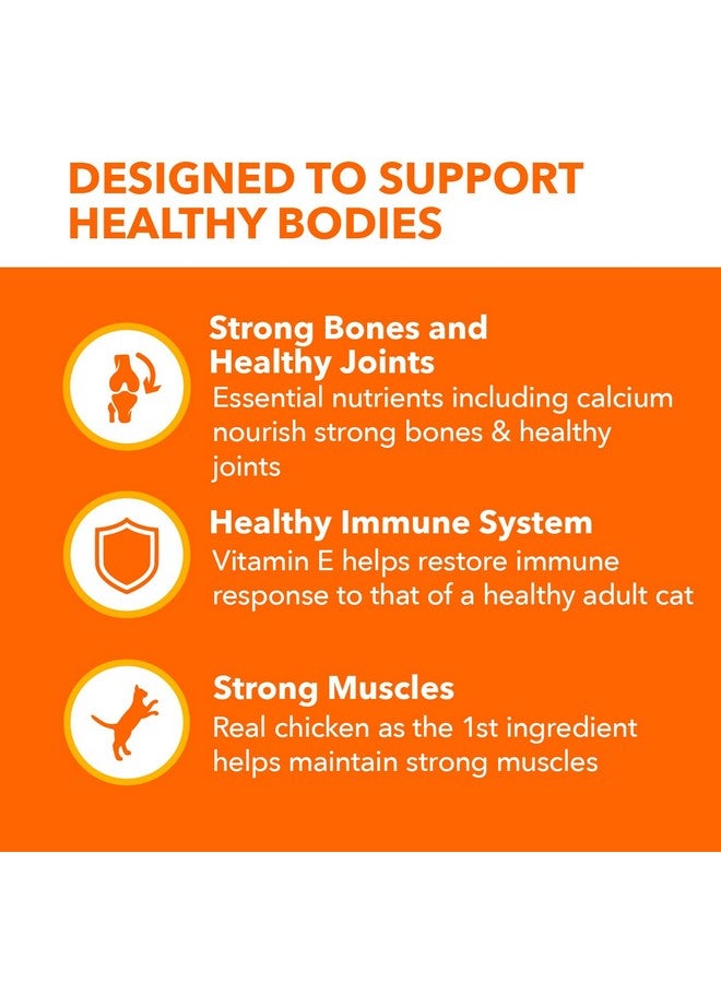 IAMS PROACTIVE HEALTH Healthy Senior Dry Cat Food with Chicken Cat Kibble, 7 lb. Bag - Image 3