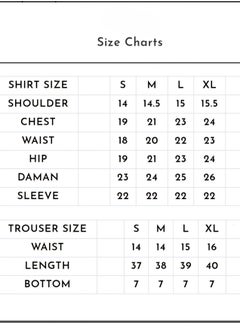 Sky cashmere Dastoor 3 Piece Chiffon Dress  - Image 5