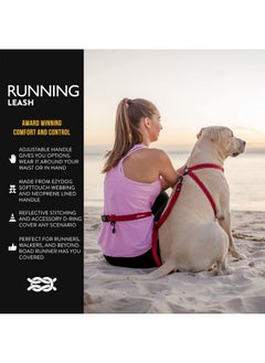 EzyDog Road Running Best Hands-Free Walking, Jogging, and Running Zero Shock Bungee Dog Leash - Reflective Stitching and Adjustable Waist Belt - Provides Superior Comfort, Safety, Control (Pink) - pzsku/Z80FA5942AB8DB013B775Z/45/_/1737031781/bc2608ca-5d1c-40d0-bf7c-bd3e712ebdb7