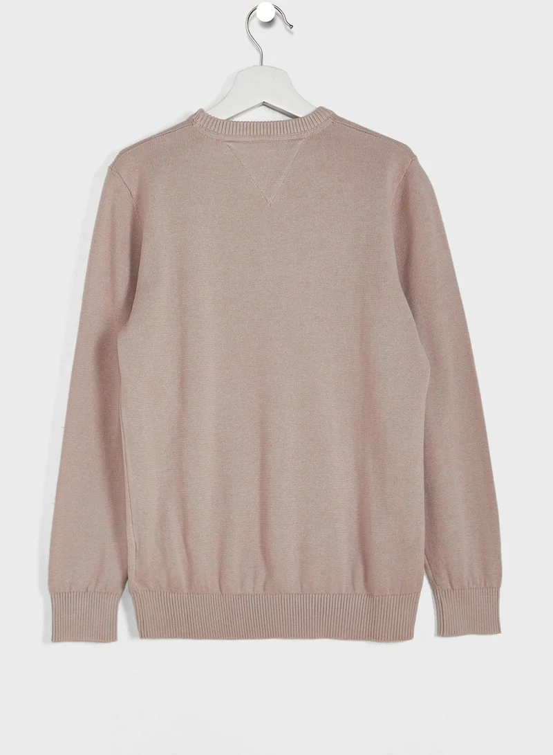 TOMMY HILFIGER Kids Logo Sweater