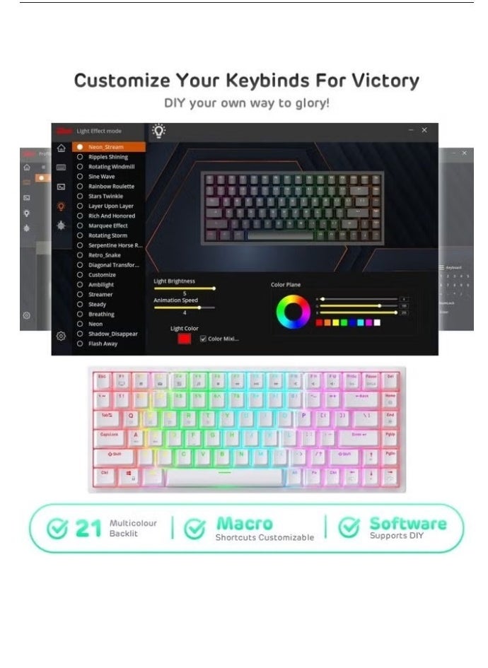 RK لوحة مفاتيح الألعاب الميكانيكية RK84 اللاسلكية بلوتوث/2.4 جيجا هرتز 80% RGB  - Image 5