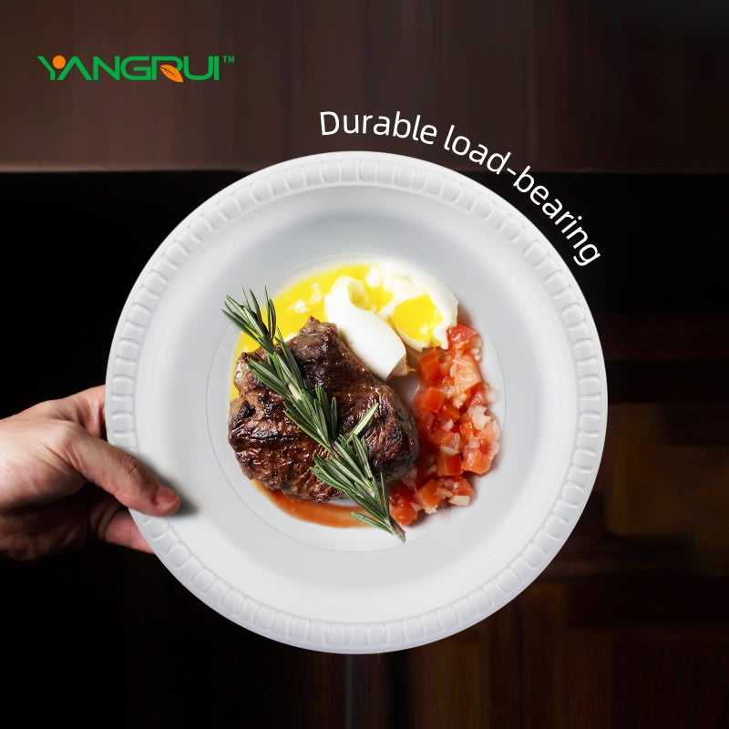YANGRUI Reusable Plastic Plates  9 Inch 150 Pack Food Grade Material BPA Free White Dinner Plates - Image 3