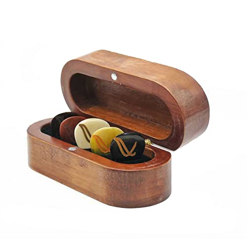 Wambooka Handcrafted Guitar Picks Set – Premium Bone, Horn, Wood & Coconut Guitar Picks with Anatomical Grip – Unique Handmade Guitar Plectrums in Wooden Gift Box - Image 1