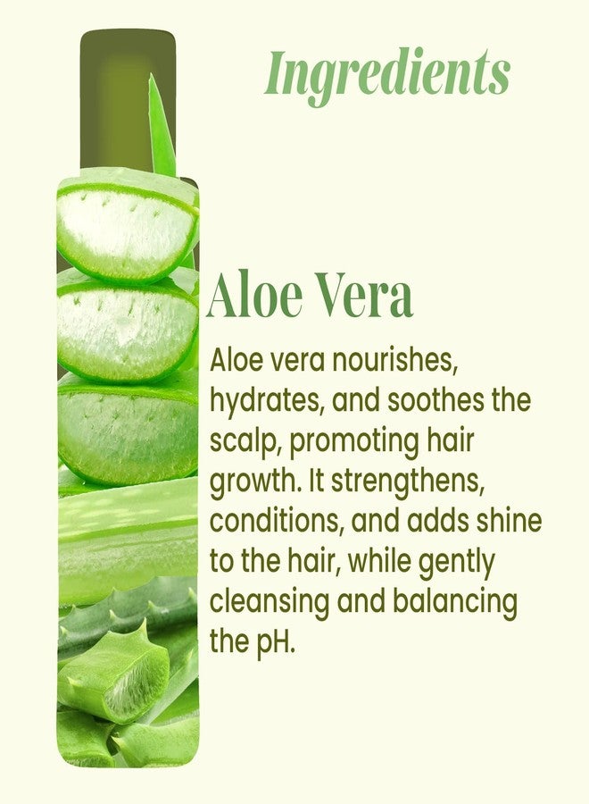 VITMINVEDA Aloe Vera Shampoo 200ml | Natural Hair Cleanser for Dandruff | Hair fall | Scalp Irritation | No-Chemicals No-Paraben No-SLS - Image 4
