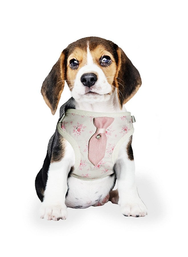 Emily Pets Dog Harness & Leash Set Breathable Soft Mesh Puppy Vest Harness Adjustable Pet Harnesses For Small Medium Pets Dogs And Cats |Pink|(Small) - Image 4