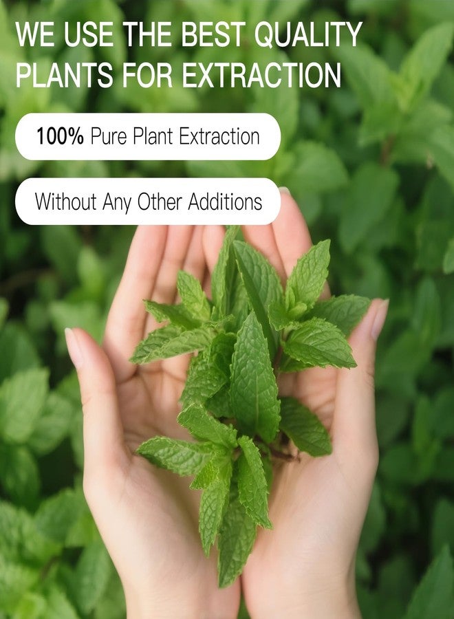 QONG Peppermint Essential Oil Blend, Mint Oil, Essential Oils Organic, Hair Growth & Scalp Care, Essential Oils for Diffusers for Home 10ML - Image 4