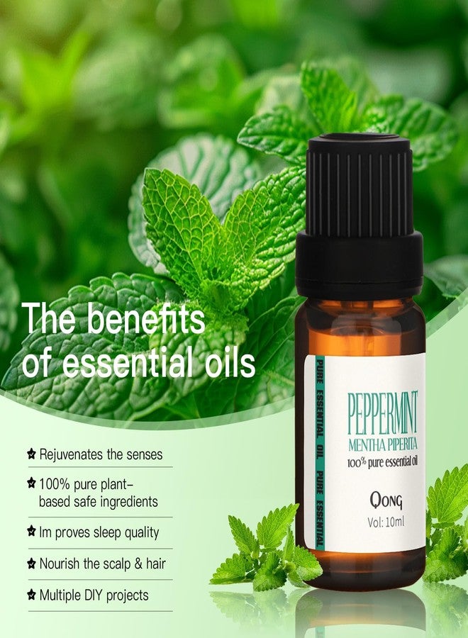 QONG Peppermint Essential Oil Blend, Mint Oil, Essential Oils Organic, Hair Growth & Scalp Care, Essential Oils for Diffusers for Home 10ML - Image 5