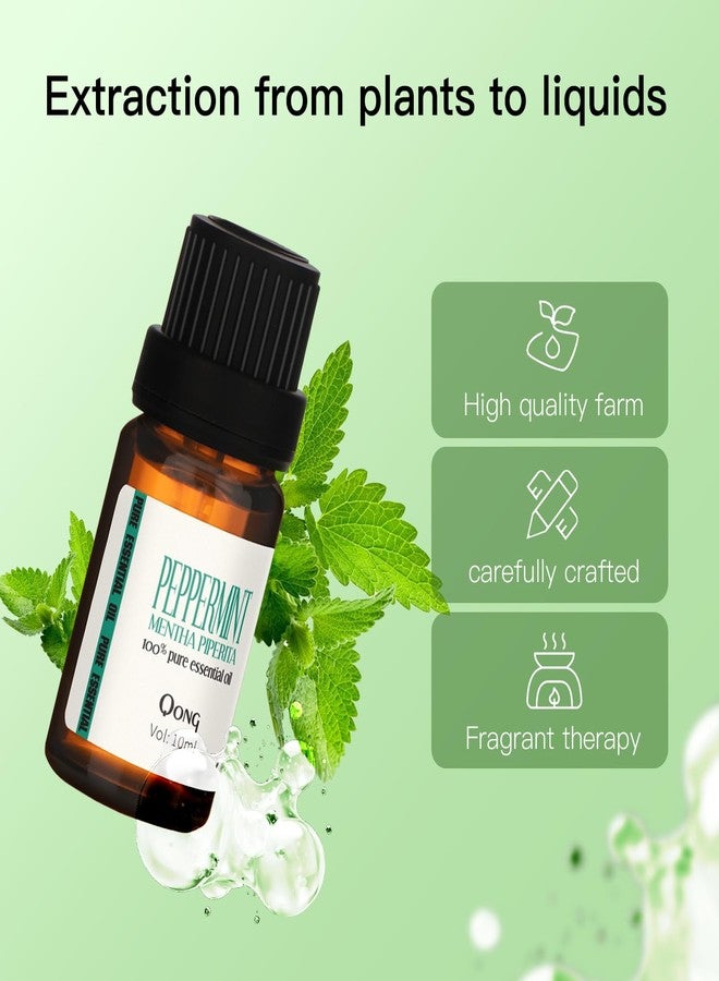 QONG Peppermint Essential Oil Blend, Mint Oil, Essential Oils Organic, Hair Growth & Scalp Care, Essential Oils for Diffusers for Home 10ML - Image 3