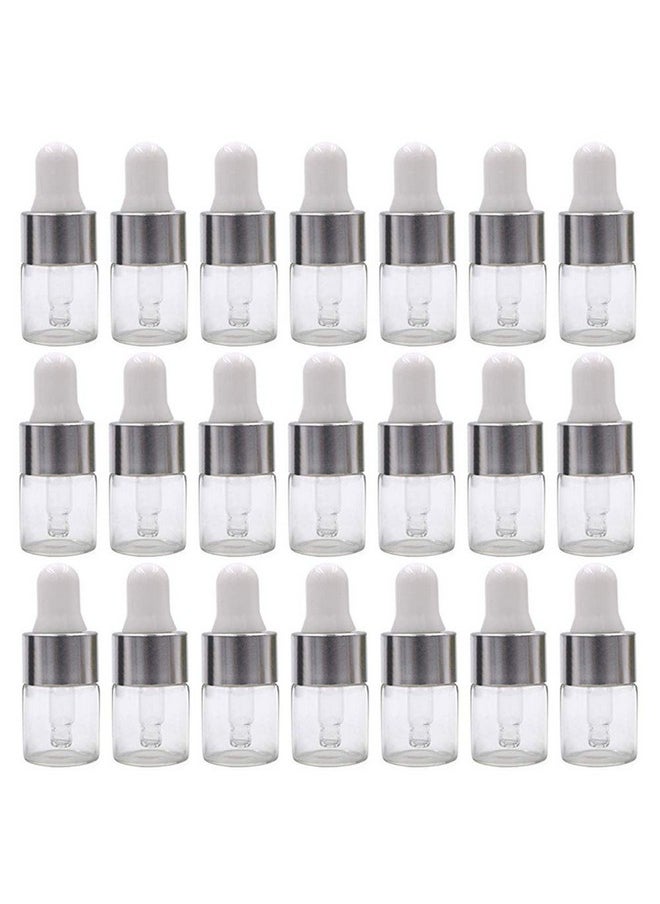 50Pcs Clear Glass Dropper Bottles Mini Essential Oil Vials With Glass Eye Dropper Empty Cosmetic Lotion Sample Bottles Refillable Diy Cosmetic Container Liquid Perfume (2Ml) - pzsku/Z8104F4A406B71B4E0D2AZ/45/_/1733729913/437e33ea-0022-4910-8c4d-d80c68f6018c