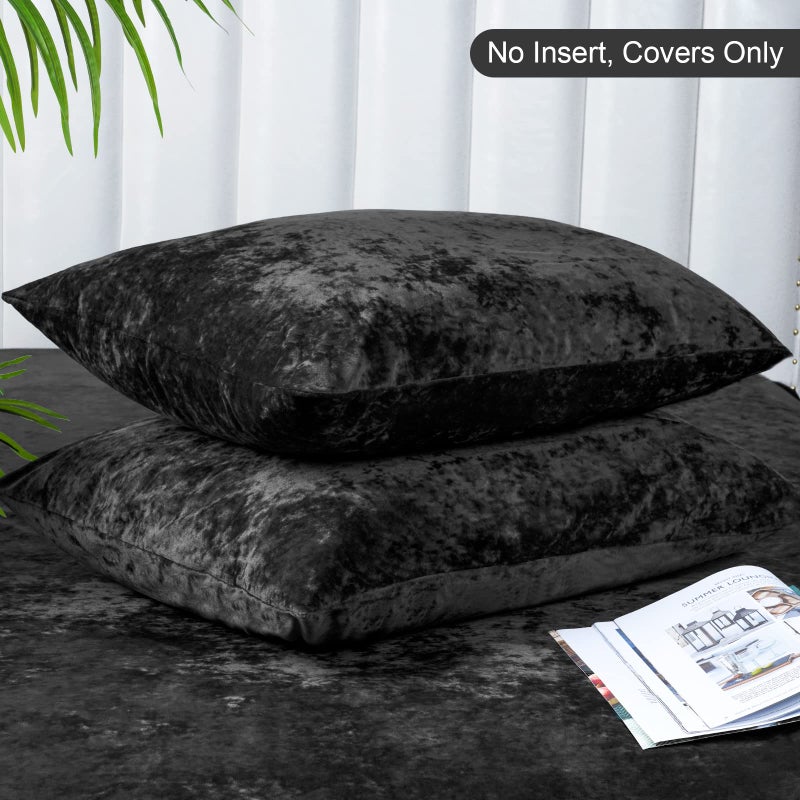بي أتش إف PHF True Velvet Plowcases Size Size 2 Pack Soft Loving Bradient Pillow Coverings with Envelope Closure Luxury Cozy Devinative Cases 20 "× 36" "لا ملء الأسود - Image 4