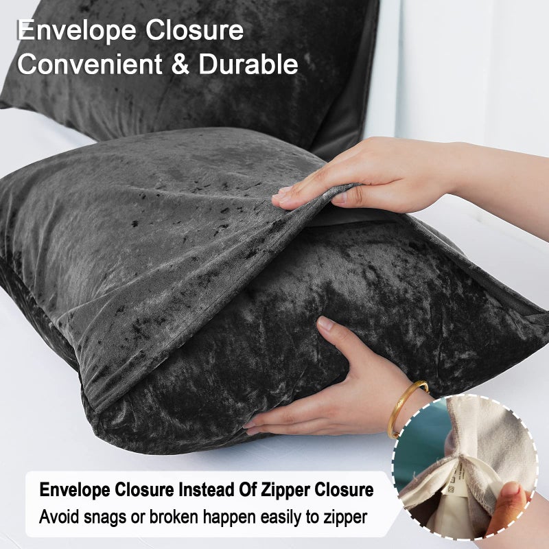 بي أتش إف PHF True Velvet Plowcases Size Size 2 Pack Soft Loving Bradient Pillow Coverings with Envelope Closure Luxury Cozy Devinative Cases 20 "× 36" "لا ملء الأسود - Image 5