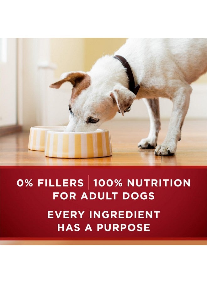 Purina ONE Purina ONE True Instinct Tender Cuts in Gravy with Real Turkey and Venison, and with Real Chicken and Duck High Protein Wet Dog Food Variety Pack - (Pack of 6) 13 Oz. Cans - Image 5