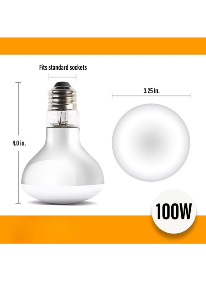 مصباح UVA للزواحف بضوء دافئ – (50 واط و100 واط) - Image 4