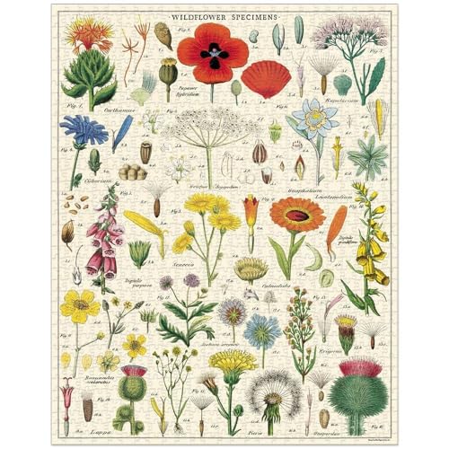 CAVANILLI & CO. Cavallini Papers & Co. Wildflowers 1,000 Piece Puzzle, Multi - Image 2