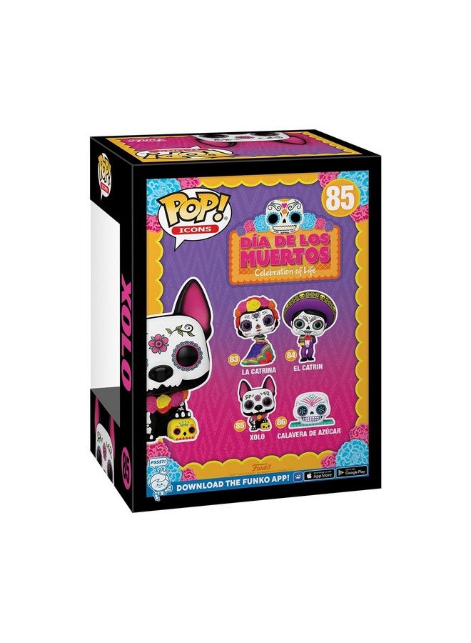 Funko Pop! Icon: Día de Los Muertos - Xolo - Image 3
