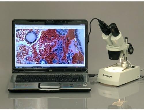 AmScope AmScope SE306RPZLED ForwardMounted Binocular Stereo Microscope WF10x and WF20x Eyepieces 20X40X80X Magnification 2X and 4X Objectives Upper and Lower LED Lighting Reversible BlackWhite Stage Plate Pillar Stand 120V or BatteryPowered  - Image 2