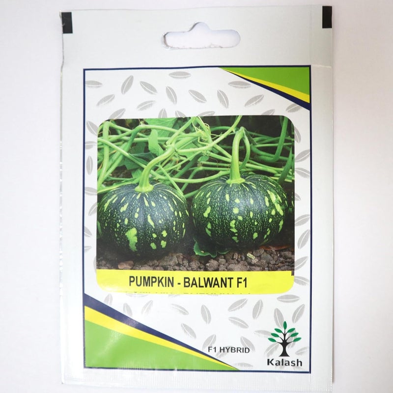 Kalash Pumpkin Balwant F1 Hybrid Premium Quality Seeds - 200 Seeds
