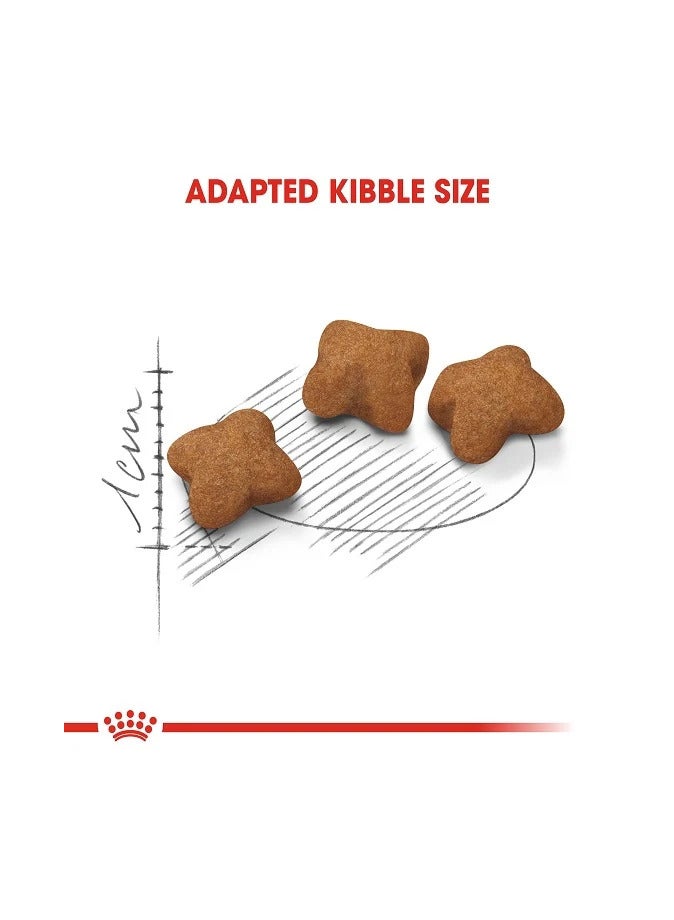 Royal Canin Dry Food for Sterilized Kittens Stage 4 (6-12 Months),2kg - Image 3