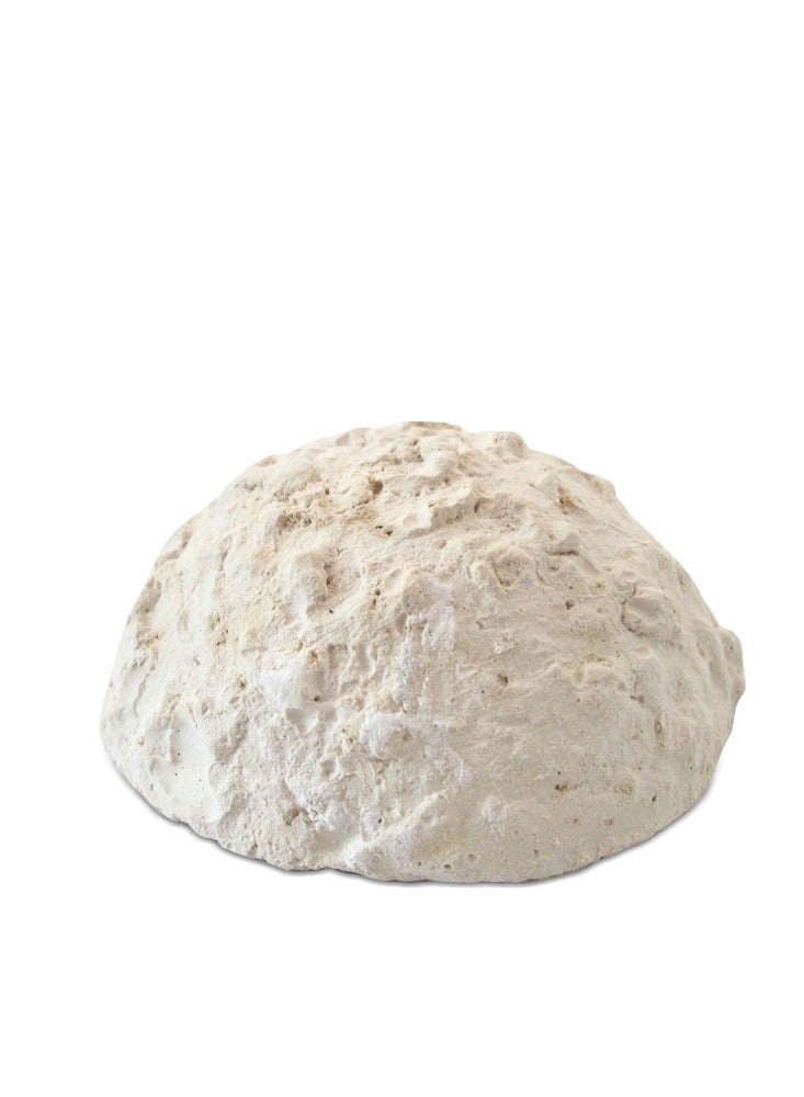 Prodac Holiday Food for Aquarium Fish 20 g - Image 2