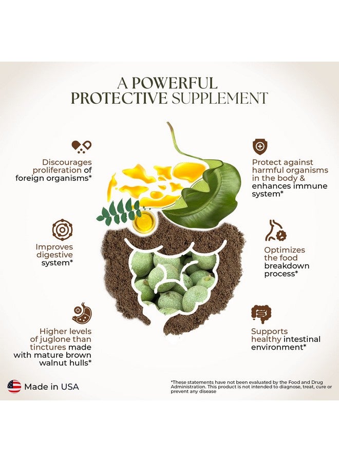 Dr Clark Store Green Black Walnut Hull Tincture Highly Potent Formula With Black Walnut Extract All Natural Intestine Support Black Walnut Tincture Comes With A Dropper 2 Fl. Oz (60Cc) - Image 3