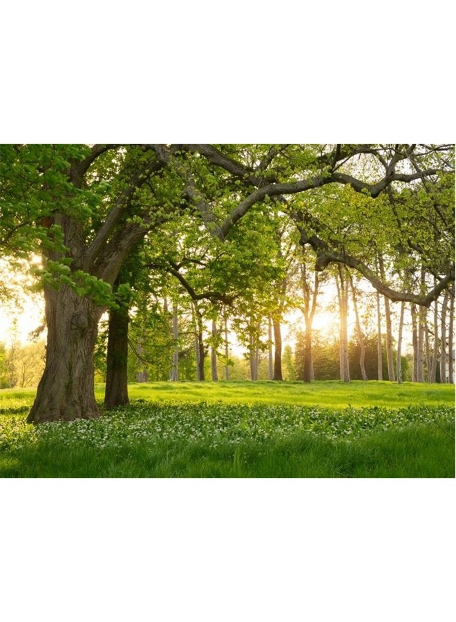 Leowefowa 7x5ft Spring Backdrop Rural Forest Trees Backdrops for Photography Blooming Flowers Green Grassland Nature Vinyl Photo Background Kids Adults Outdoor Travel Portraits Studio Props - Image 1