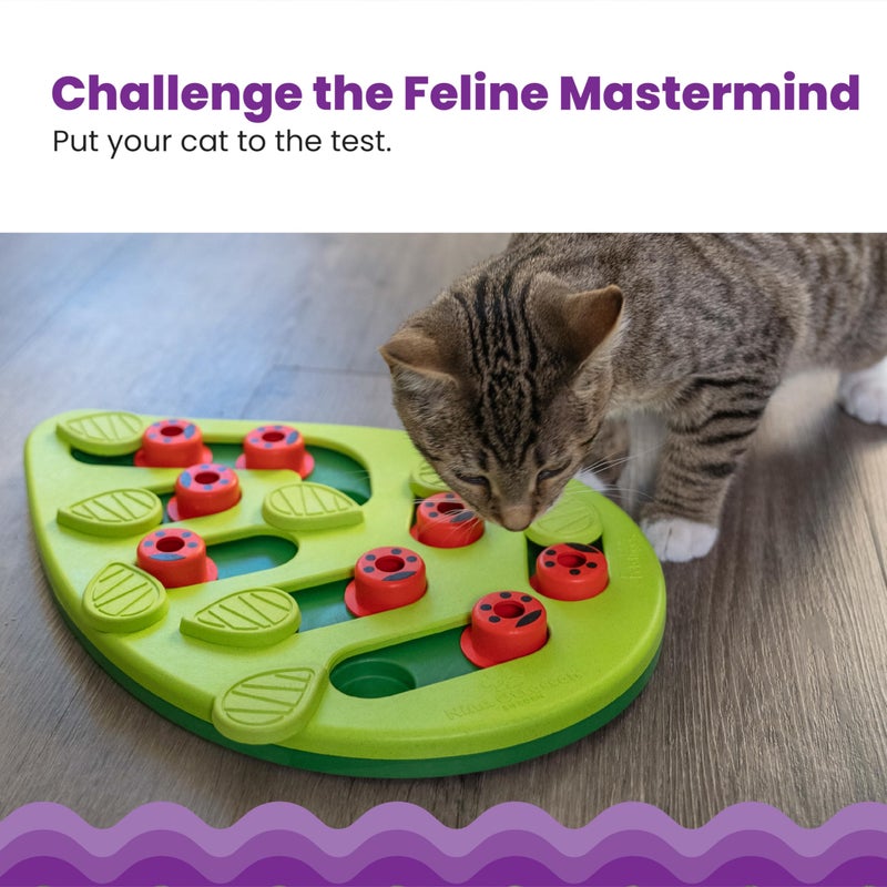 Catstages Nina Ottosson Buggin' Out Puzzle & Play â€“ Interactive Cat Puzzle Feeder for Indoor Cats, 16 Hidden Treat Compartments, Slow Feeder, Durable & Easy-Clean - Image 2