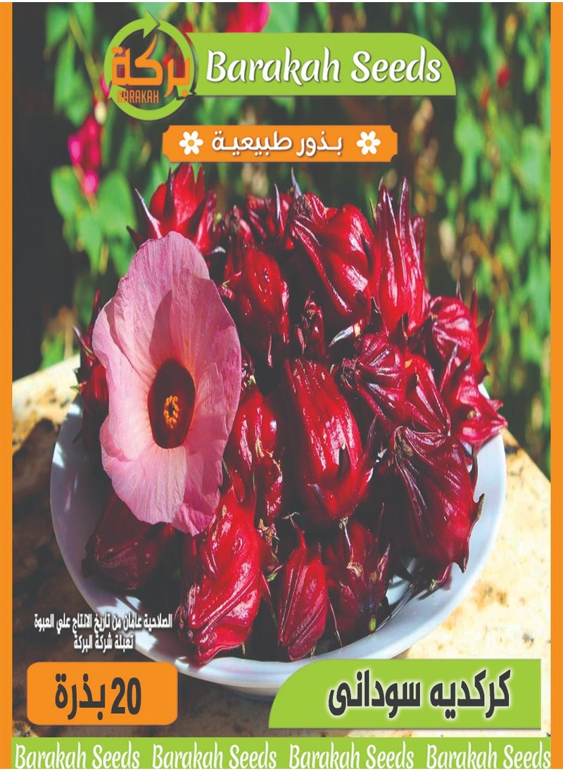 Generic High germination rate seeds - Sudanese hibiscus 