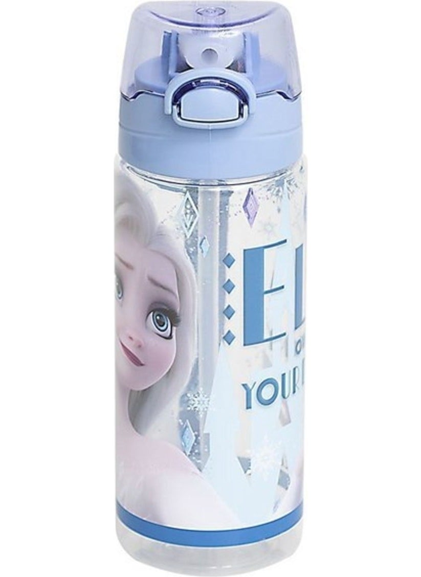 Disney FROZEN Frozen Plastic Bottle 500ML Due Own Your DESTINIYOTTO.41427  - Image 1
