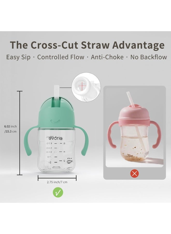 Evorie Tritan Weighted Straw Sippy Cup with Handles for Baby and Toddlers, Spill Proof Baby Water Bottle with Straw for 6 months and up, 7 Oz, Infant Training Water Bottle (Mint) - Image 5