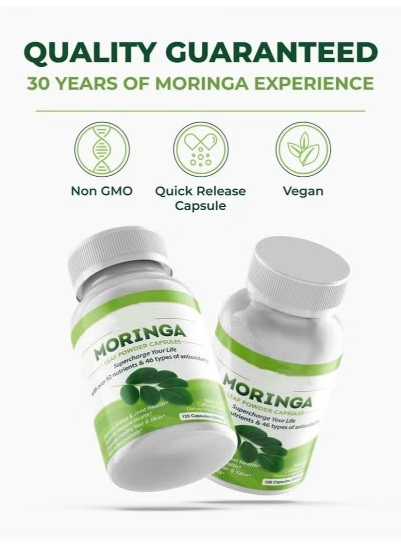 Moringa 60 Capsules, Organic Single-Origin Moringa Leaf Capsules, 500mg, Nutrient-Dense Superfood, Boosts Energy, Metabolism and Immunity, Non-GMO, Vegan​ - Image 2