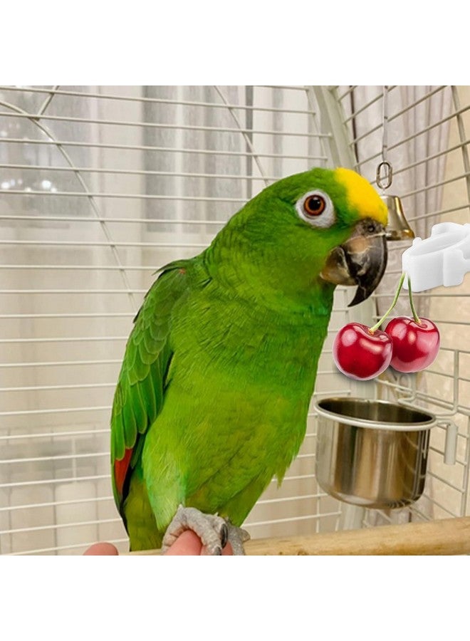 Sliverdew 6 Pcs Bird Cage Food Clips Parrot Fruit Vegetable Holder Budgie Cage Clips for Treats Cage Feeder Clip for Parakeet Budgie Cockatoo Macaw Cockatiel and Other Animals - Image 4