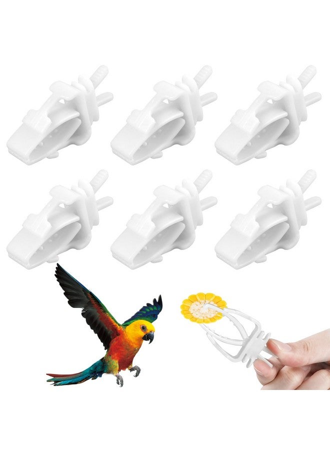 Sliverdew 6 Pcs Bird Cage Food Clips Parrot Fruit Vegetable Holder Budgie Cage Clips for Treats Cage Feeder Clip for Parakeet Budgie Cockatoo Macaw Cockatiel and Other Animals - Image 1