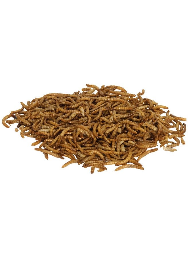 Zilla 2 Pack of Reptile Munchies Mealworms, 3.75 Ounes each, for Bearded Dragons, Leopard Geckos, Chameleons, Large Tropical Fish, and Birds - Image 3