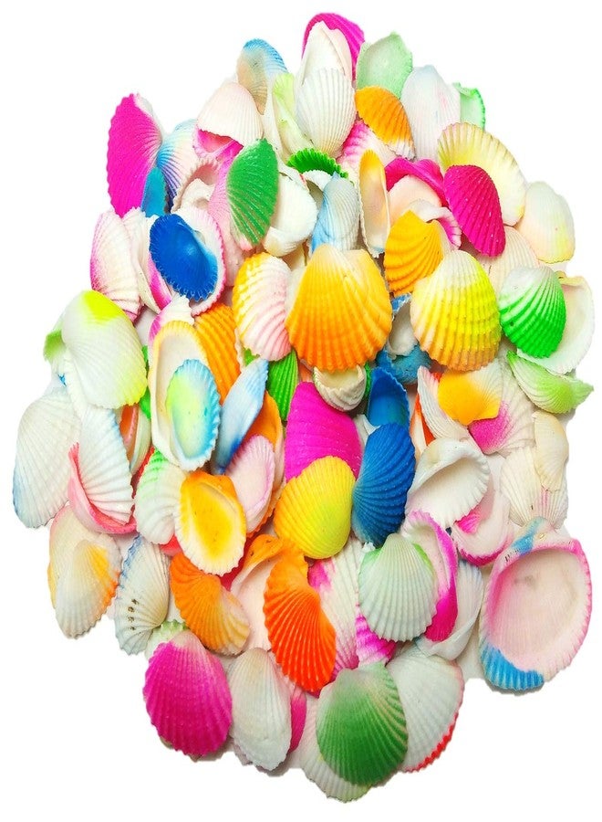 DS1 Multi-Color Shells sippi for Garden Aquarium, Table, vase, Fountain, 250 gm - Image 1