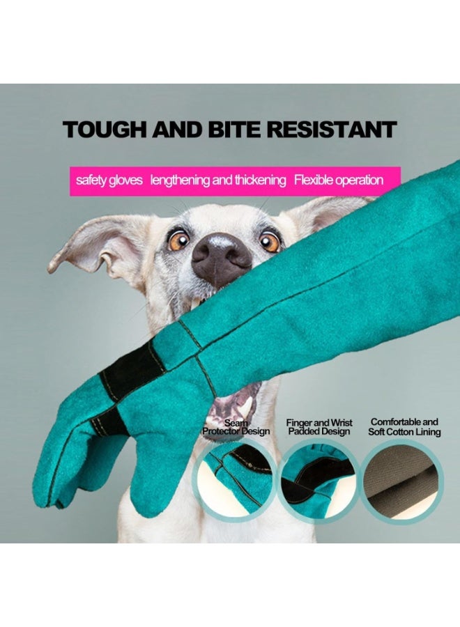 قفازات جلدية مقاومة للعض بحجم 45 سم لتدريب الحيوانات وتغذيتها وحمايتها للقطط والكلاب والثعابين والزواحف - Image 3