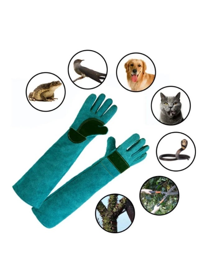 قفازات جلدية مقاومة للعض بحجم 45 سم لتدريب الحيوانات وتغذيتها وحمايتها للقطط والكلاب والثعابين والزواحف - Image 1